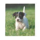 Recherche de jack russel blocsnotes Jrt