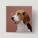 Recherche de beagle badges Photographie