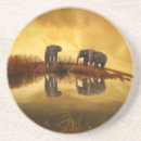 Recherche de éléphant dessous de verres Mammifère