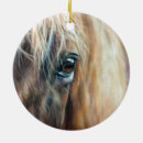 Recherche de oeil de cheval maison deco Poney
