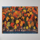 Recherche de maple tree posters Fall colors