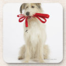 Recherche de vue face de dessous de verres Vertical