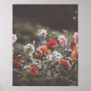 Recherche de beaux photographie art Fleurs