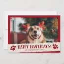 Recherche de pet dog christmas vœux cartes Vacances
