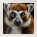 Recherche de raccoon puzzles Faune