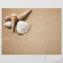 Recherche de coquillages prospectus Vacances
