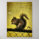 Recherche de écureuil gris posters Animal