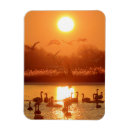 Recherche de de cygne refrigérateur magnets Romantique