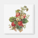 Recherche de fraise magnets Fleurs