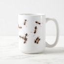 Recherche de fourmi tasses Insecte