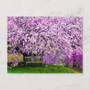 Recherche de wilmington cartes postales Paysage