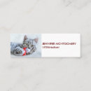 Recherche de chat gris cartes visite Tabby