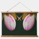 Recherche de cypripedium posters Nature