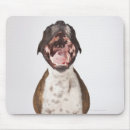 Recherche de mammifères tapis souris Chien