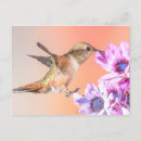 Recherche de fleur orange cartes postales Oiseau