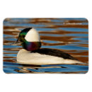 Recherche de après midi magnets Nature