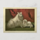 Recherche de portrait de chien cartes postales Blanc