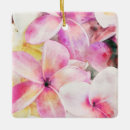 Recherche de plumeria ornements Frangipani