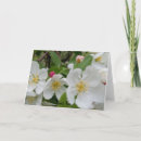Recherche de le delaware photographie Fleurs