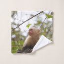 Recherche de monkey photographie Singe