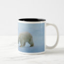Recherche de ours polaire tasses Nature