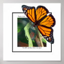 Recherche de monarch butterfly posters Bible