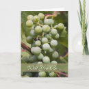 Recherche de raisins verts invitations Dégustation de vin