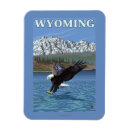 Recherche de le wyoming magnets États