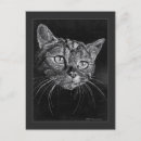 Recherche de visage de chat cartes postales Chatons