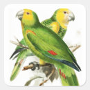 Recherche de peinture de perroquet autocollants Pour tous