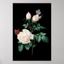 Recherche de papillon noir et blanc posters Fleurs