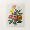 Recherche de dahlia puzzles Nature