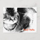 Recherche de rappel vétérinaire cartes postales Chats