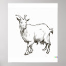 Recherche de peintures japonaises vintages posters Culture japonaise traditionnelle