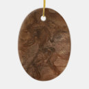 Recherche de fossile ornements Paléontologie