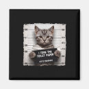 Recherche de chaton magnets Miauler