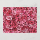 Recherche de bourgeons roses cartes postales Floral