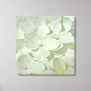 Recherche de hortensias toiles Fleurs