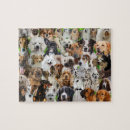 Recherche de chien puzzles Collage