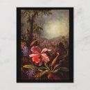 Recherche de orchidée rose cartes postales Colibri