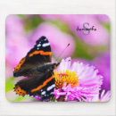 Recherche de amiral tapis souris Insecte