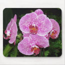 Recherche de orchidée blanche tapis souris Fleur