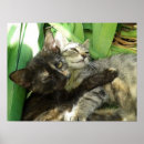 Recherche de boudine posters Mignon