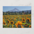 Recherche de montagnes cascade cartes postales Oregon