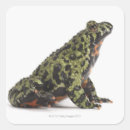 Recherche de profil autocollants Animal