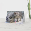 Recherche de abréviations vœux cartes Amour