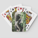 Recherche de serpent vert jeux de cartes Nature