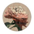 Recherche de rouge planches à découper Rubis