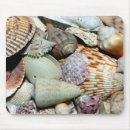 Recherche de coquillage tapis souris Coquilles de plage