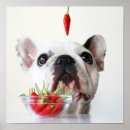 Recherche de out of posters Dog